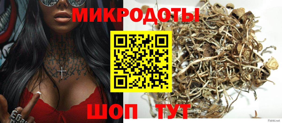 Кыштым  Псилоцибиновые грибы MAGIC MUSHROOMS  Вход с VPN 